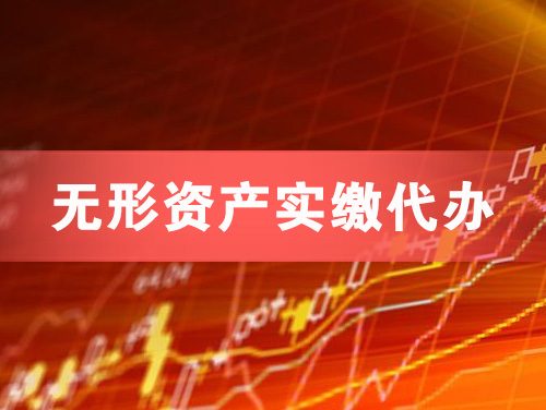 九台无形资产实缴资本代办