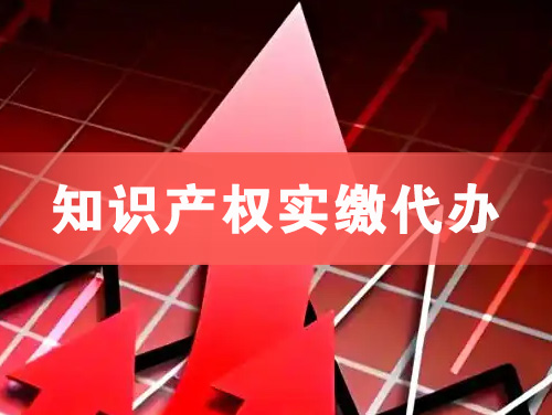 九台知识产权实缴资本代办